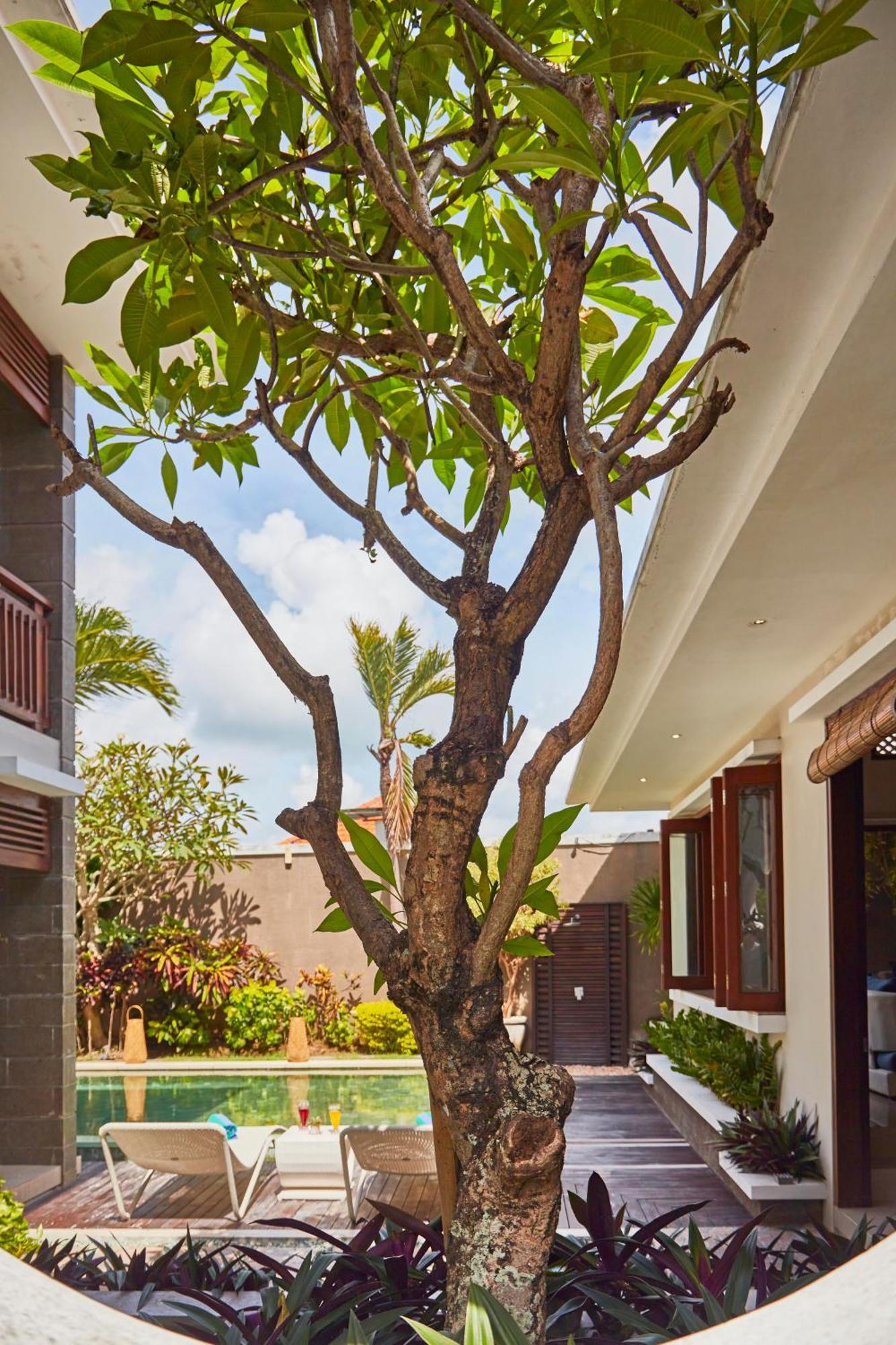 Dreamscape Bali Villas Canggu Exterior foto